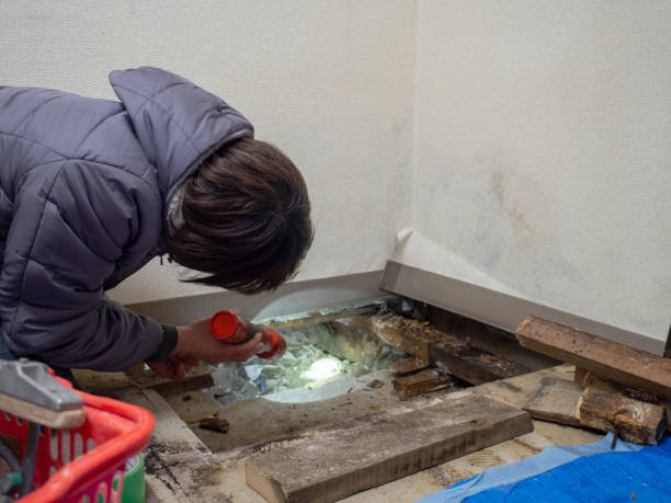 Best Environmental Consulting for Mold Prevention  in Riverdale, GA