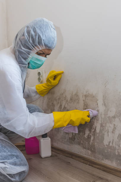 Best Biohazard Mold Removal  in Riverdale, GA