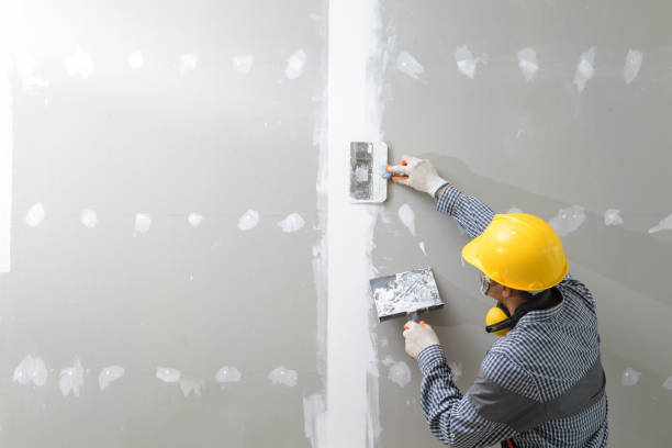 Best Mold Damage Restoration  in Riverdale, GA