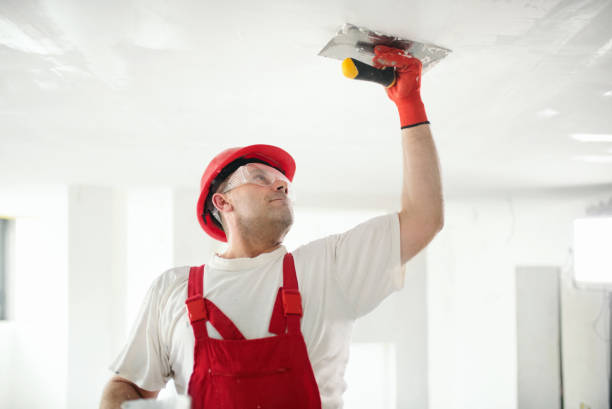 Professional Mold Removal in Riverdale, GA