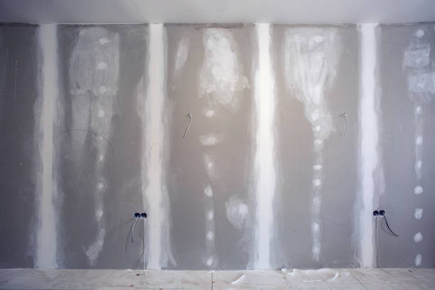 Best Industrial Mold Remediation  in Riverdale, GA